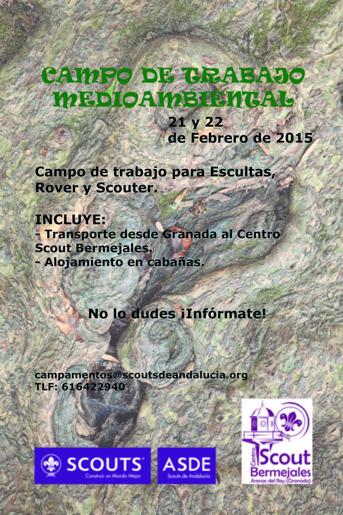 CAMPO DE TRABAJO ASDE SCOUTS DE ANDALUCIA